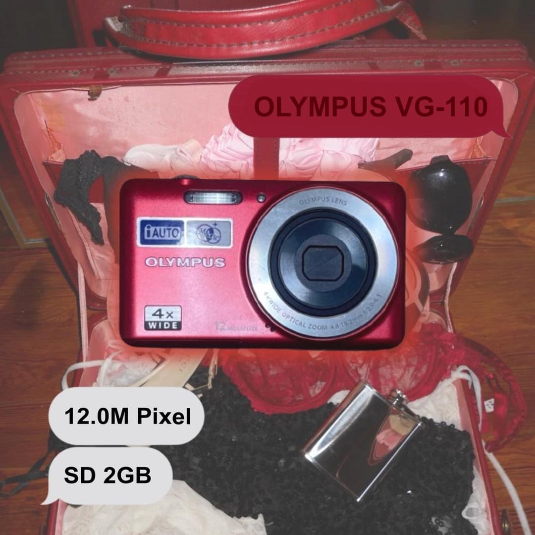 OLYMPUS VG-110 | 후루츠패밀리