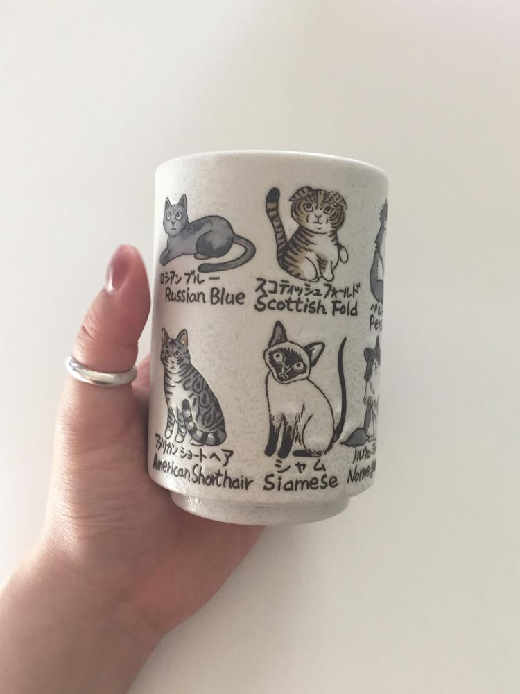 (한정수량) 오아페 캣츠 컵 cats cup