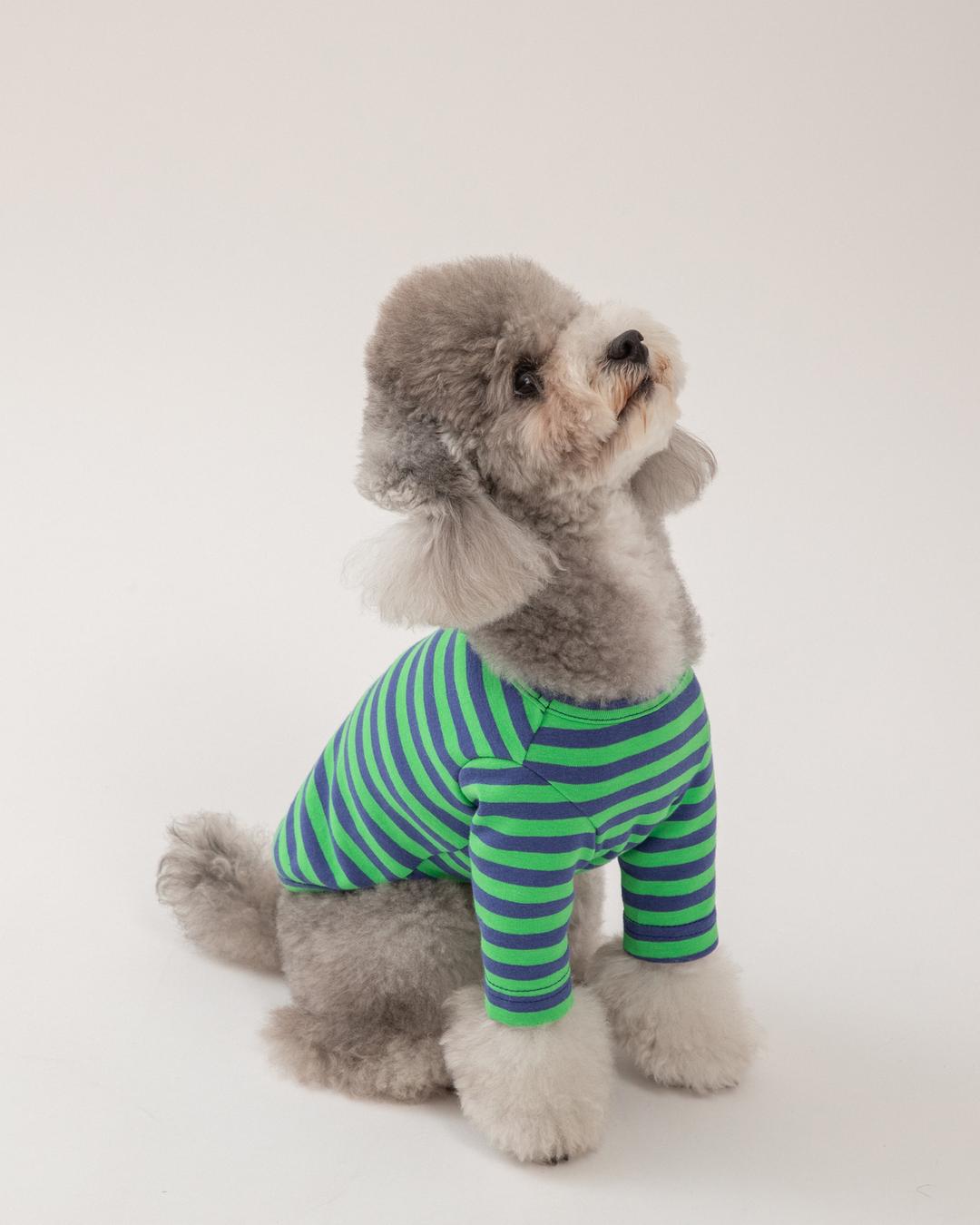 [mungmoong] 롱 슬리브 스트라이프 티셔츠 그린