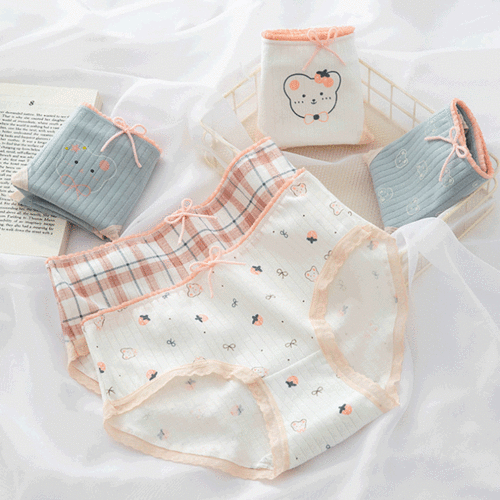 데일리 베리 베어 팬티 5P 세트 no.1077