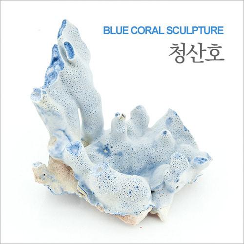 수초랑 청산호 15cm 내외