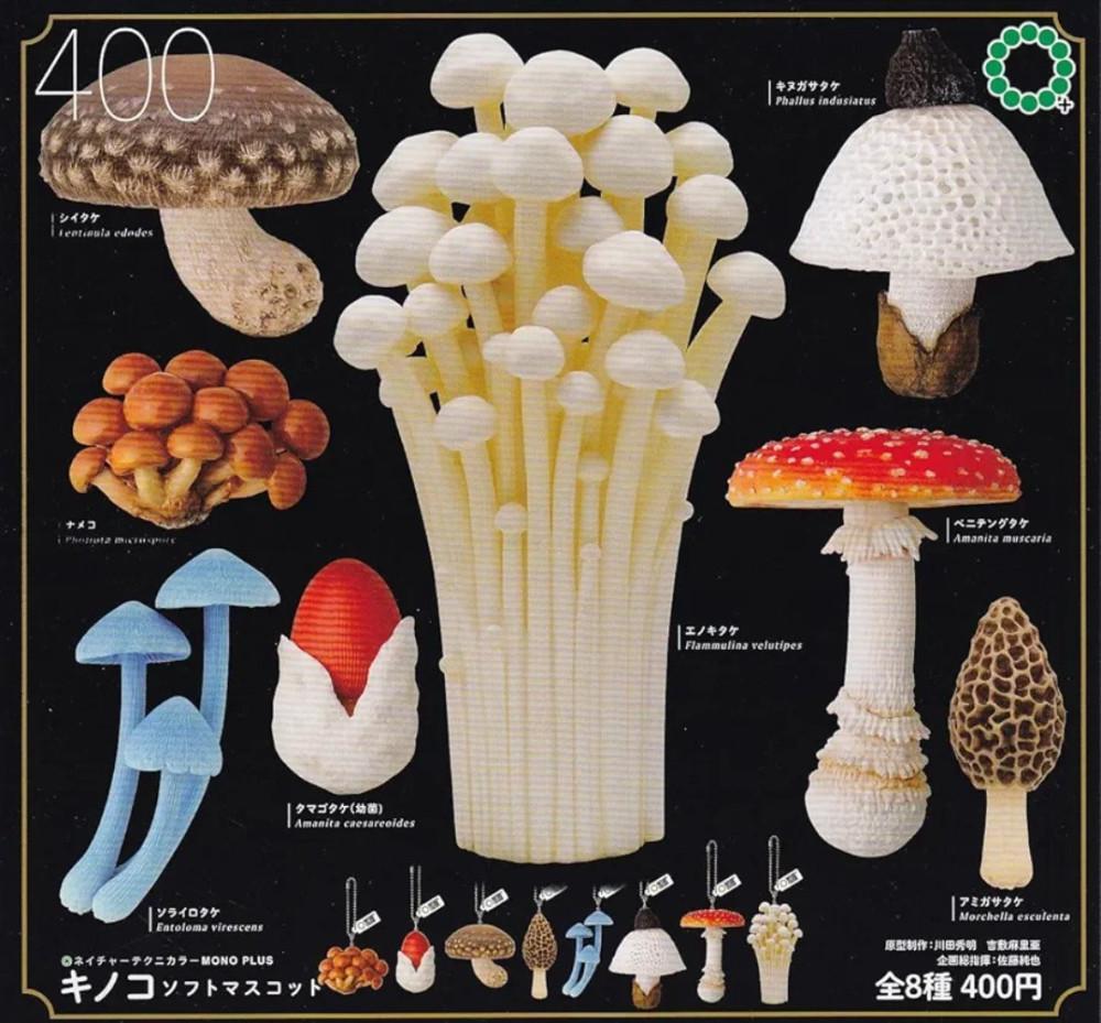 네이처 테크니컬러 버섯 피규어 가챠 캡슐 8종 세트