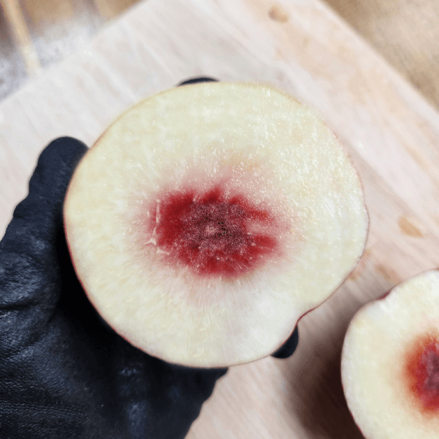 🍑오늘의 복숭아🍑 겨울복숭아 설리복숭아 (설아/설도)