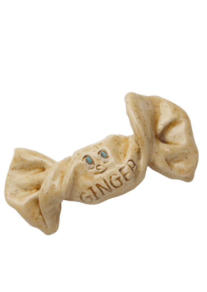 Ginger Satang