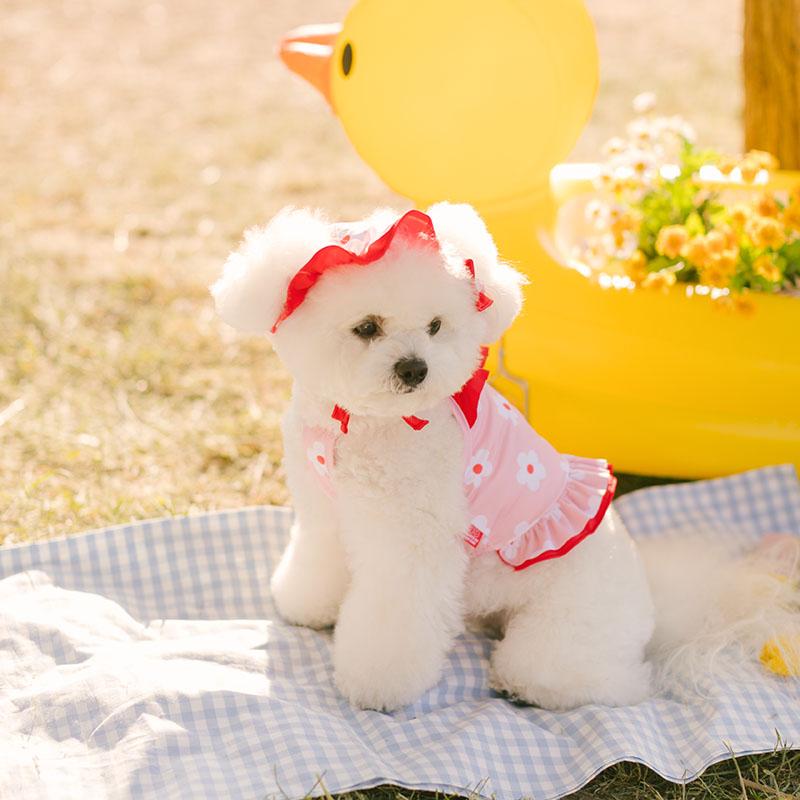 썸머 스위티 프릴 탑 - 핑크