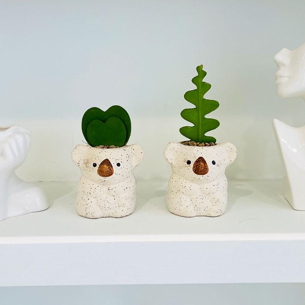 [귀여운 선물] 코알라화분+하트호야 or 생선뼈선인장+메세지카드 개업 생일 신박한 선물