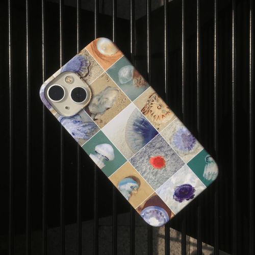 jellyfish album case