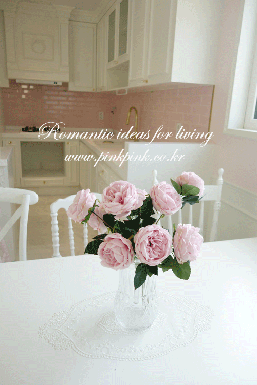 에이미 장미 부쉬