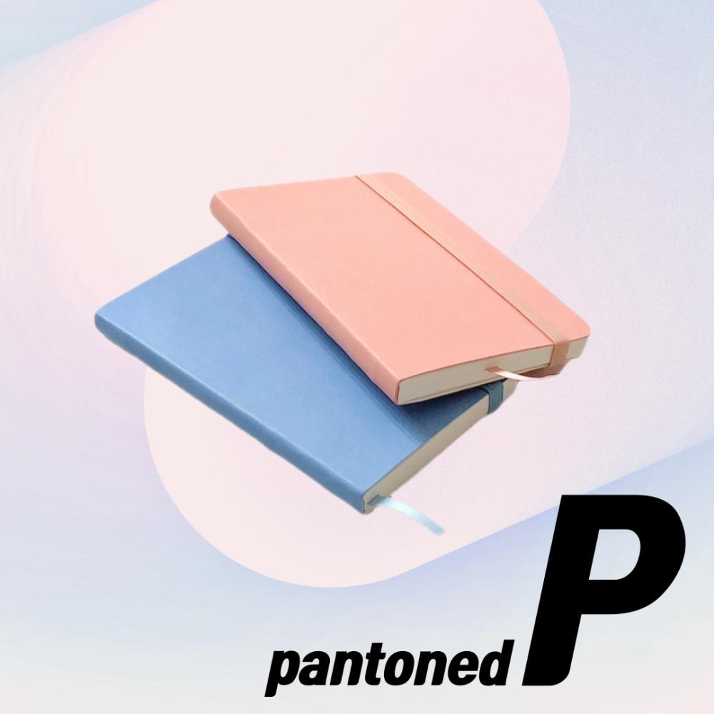 클래식 소프트커버 팬톤컬러 핑크 블루 데일리포켓 다이어리 핸디북 불렛저널 가벼운노트