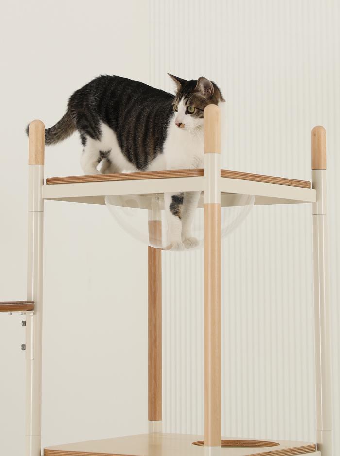 스튜디오얼라이브  큐브 캣타워