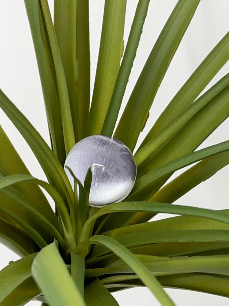 트윙클스터프, 투명그립톡 Silver LIght 그립톡 구슬톡 구슬 투명 그립톡