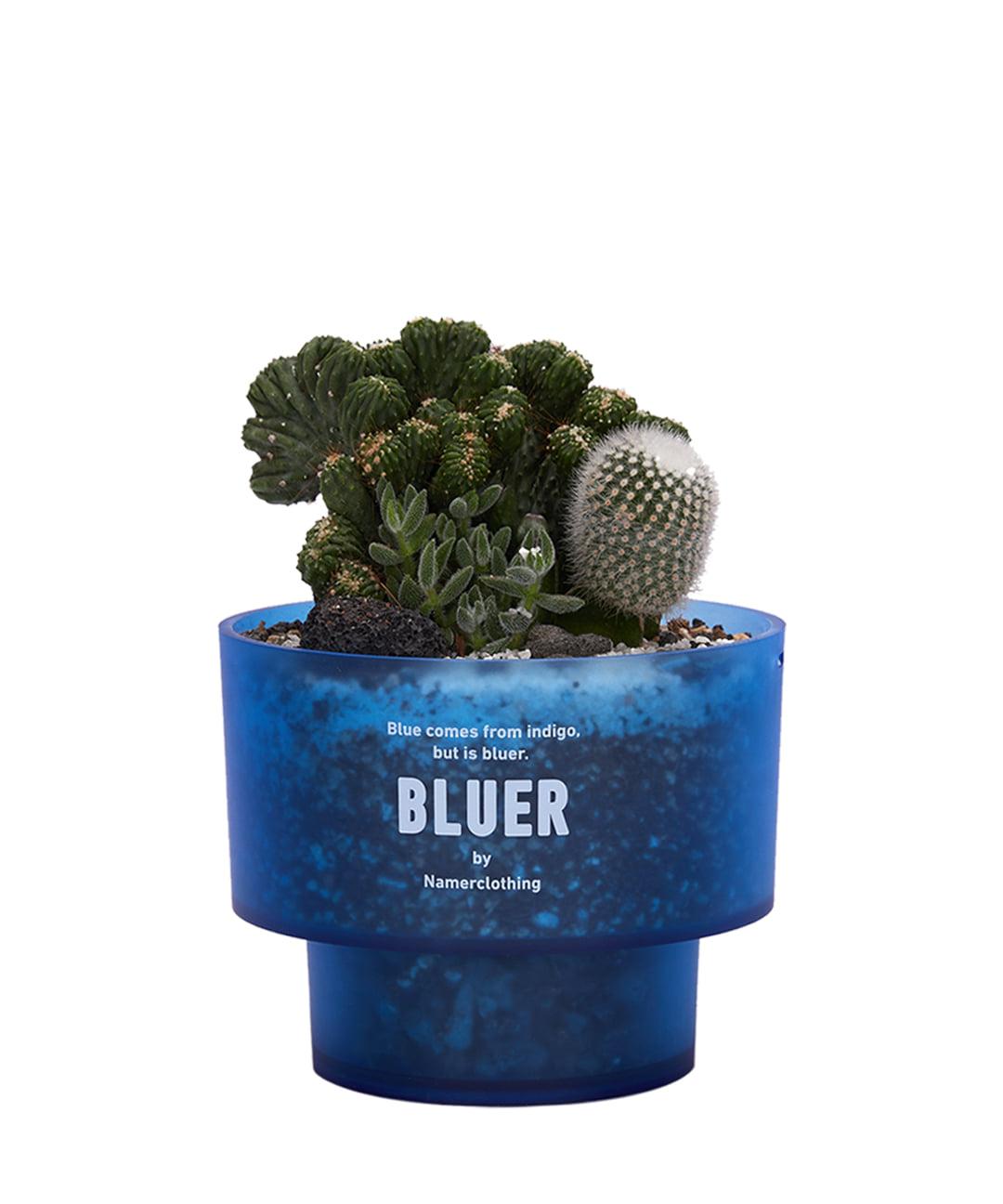 NMR X SUNDAYPLANET47 POT BLUE