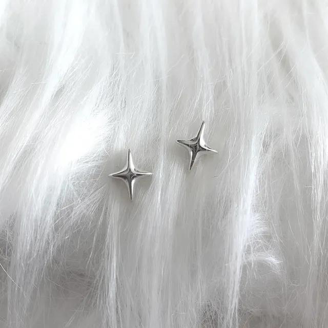 (silver925) twinkle earring 스파크 귀걸이
