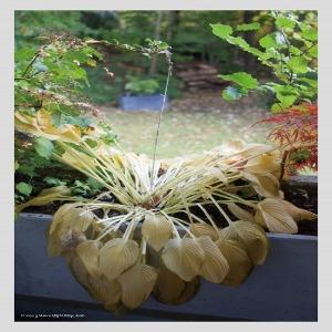 혁오 (Hyukoh) / 사랑으로 (정규앨범) (CD, 세로가 더 긴 봉투 형태의 페이퍼보드 패키지)