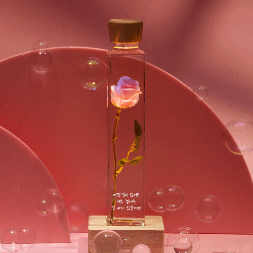 [NEW] 장미무드등-4종