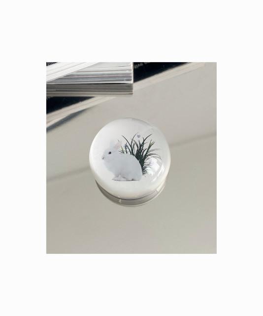 트윙클스터프, 투명그립톡 bunny park 물방울 유리 반구 구슬톡