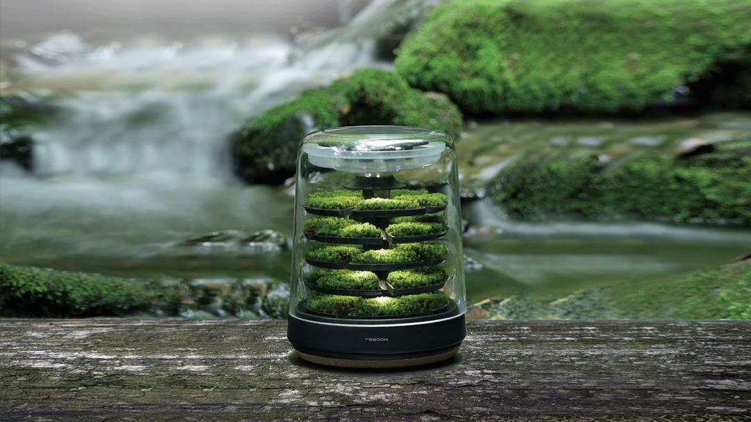 와디즈 오픈예정 | 자연의 공기를 내방으로ㅣ이건 혁신이에요. 습도조절과 공기 청정기능까지?