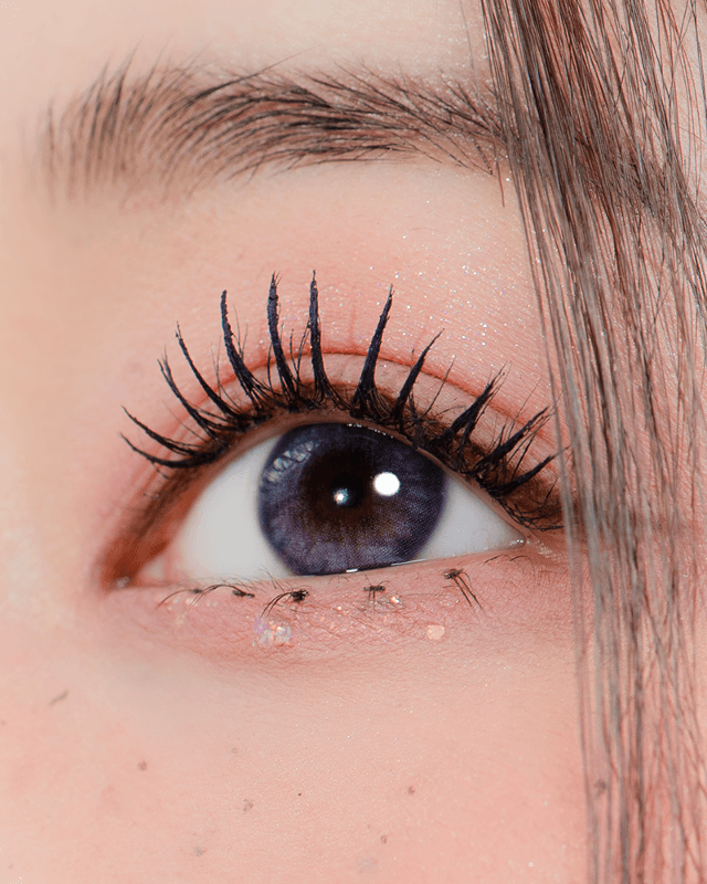 [원데이] 클라우드 베리