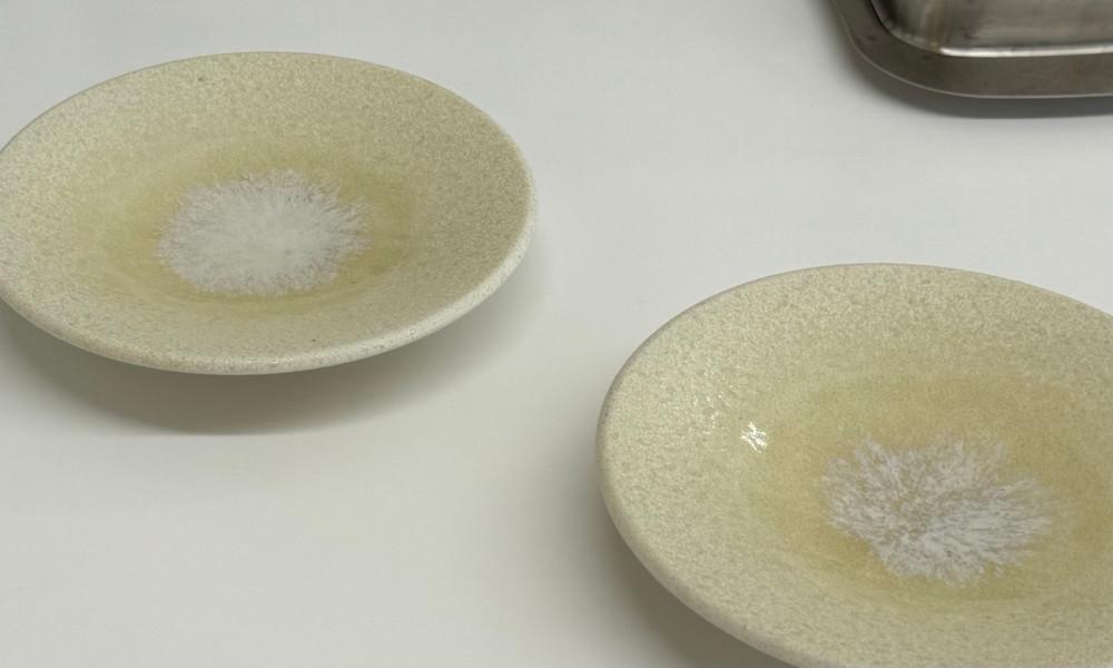 koi egg plate (코이 에그 플레이트)