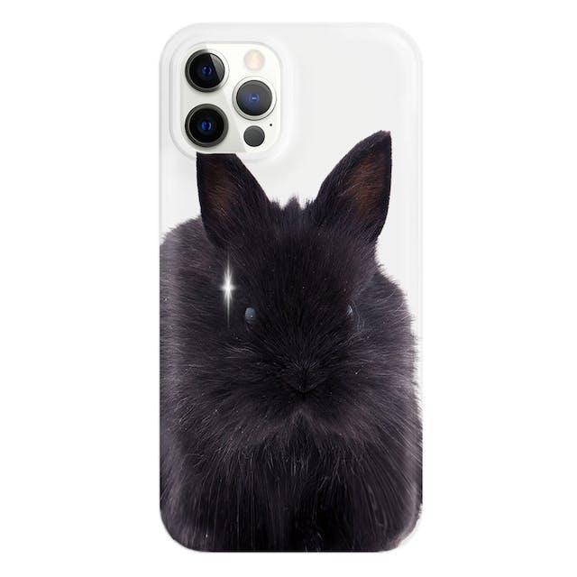 Jumbo Rabbit iPhone case