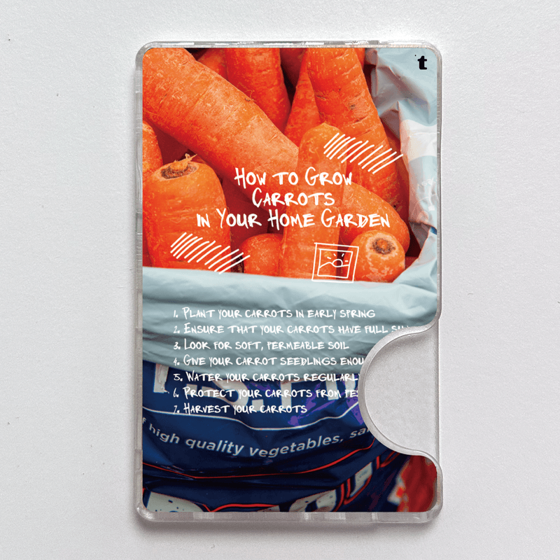 [당일출고/맥세이프 카드슬롯] how to grow carrots