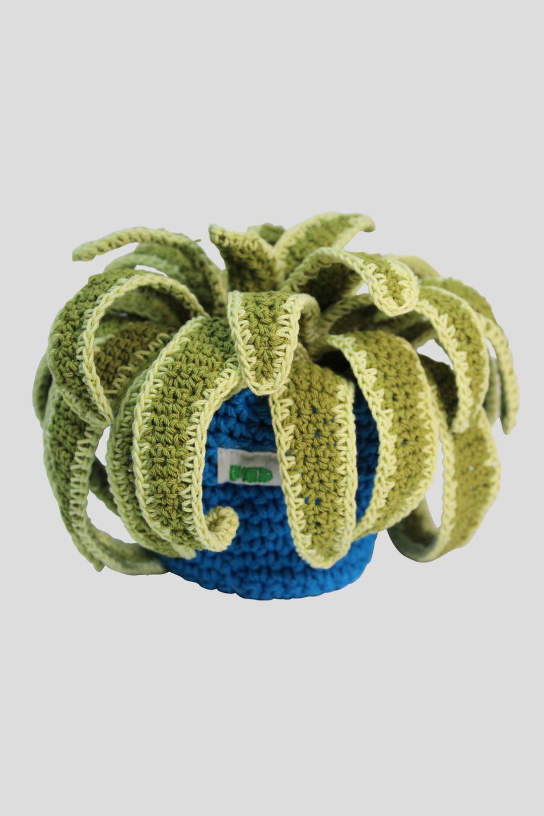 나비란 블루 화분