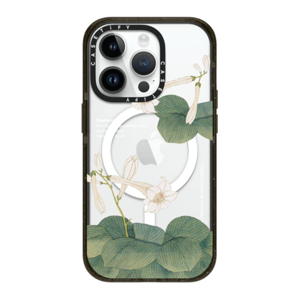 NMK Plantain Lily case