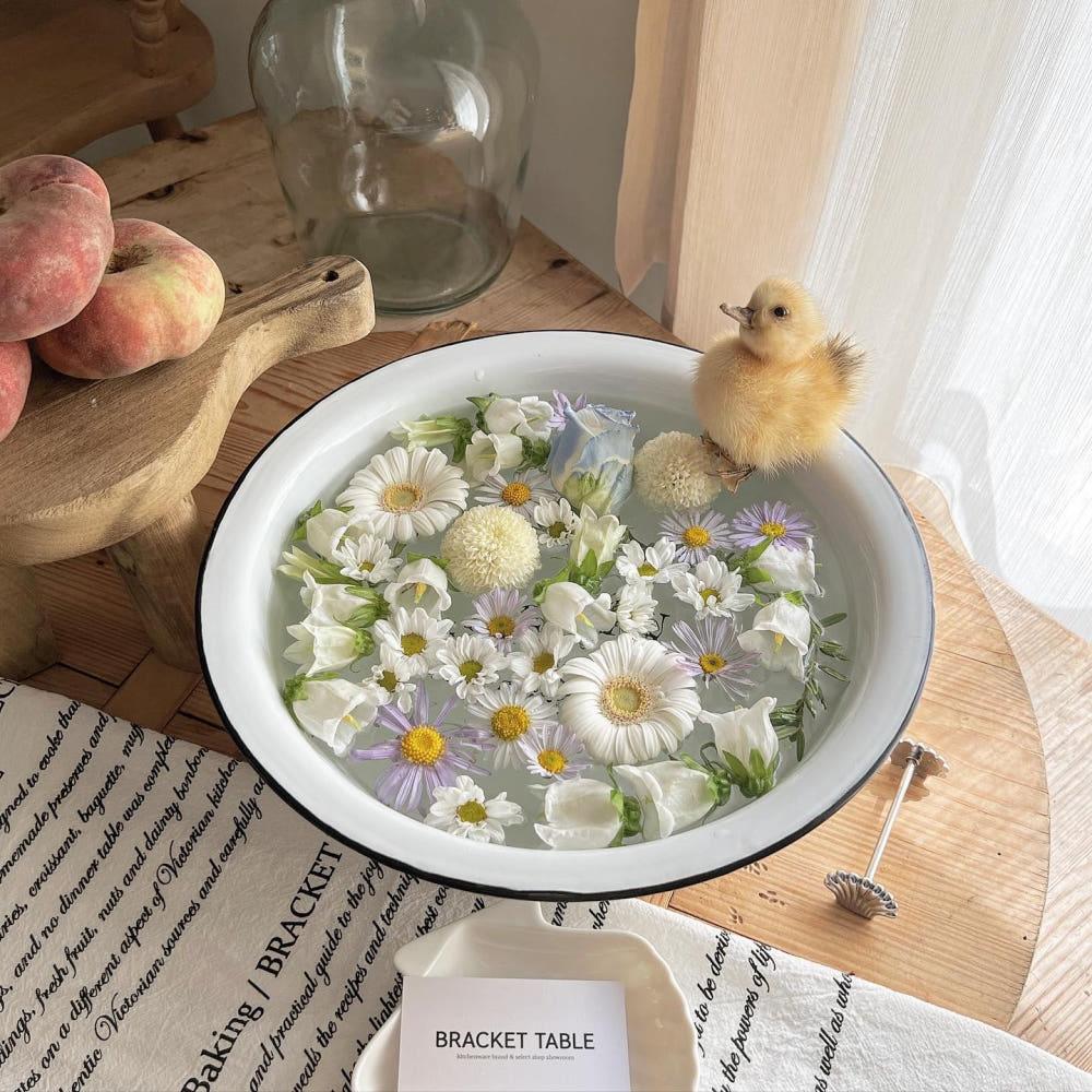 플로팅 플라워 법랑볼