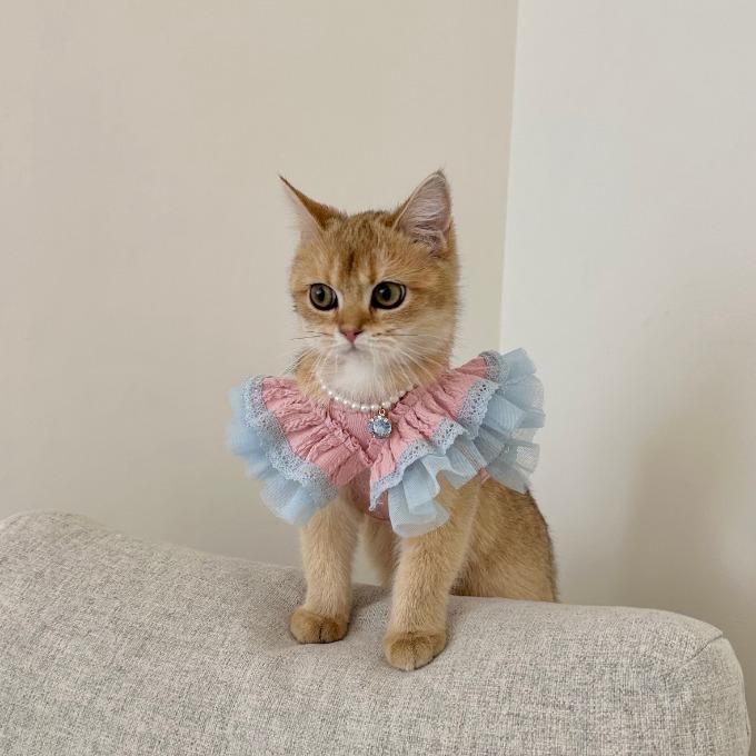 러브 프릴 블라우스