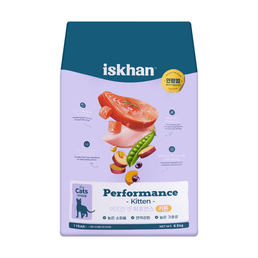 이즈칸 캣 퍼포먼스 키튼 6.5kg