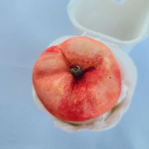 🍑납작복숭아 스마트톡🍑