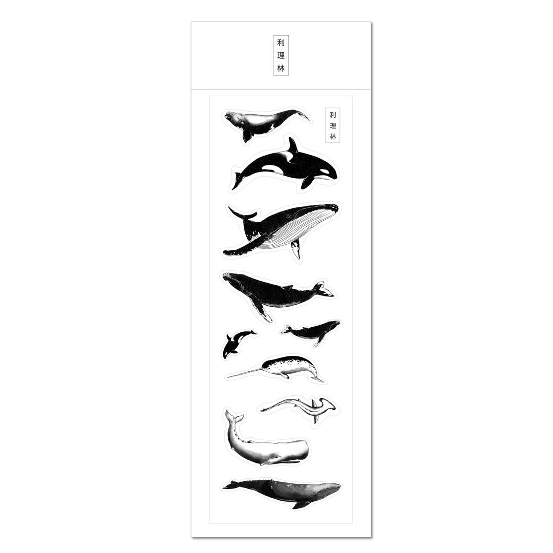 검은고래 투명스티커