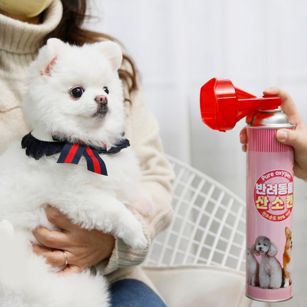 강아지 산소캔 816ml [반려동물 반려견 고양이] 휴대용 가정용 산소 공급