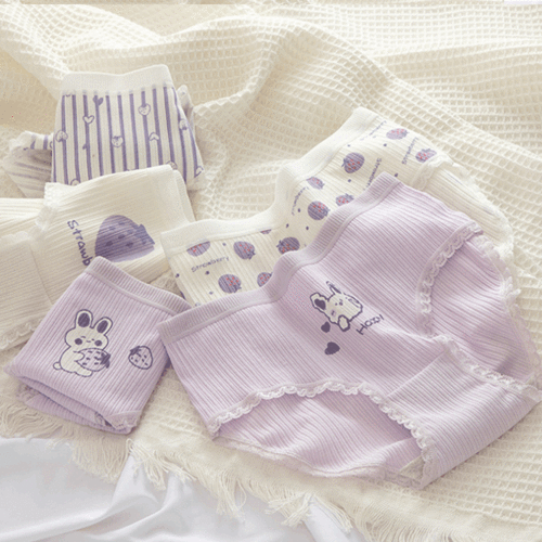 데일리 퍼플래빗 팬티 5P 세트 no.1053