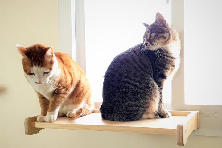 캣선반Ⅱ 창문용 고양이 선반 캣타워