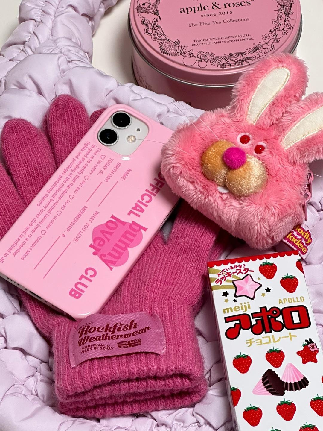 bunny lover club hard case