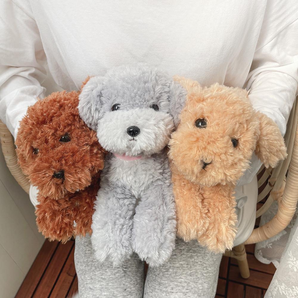 [코코로] 애착인형 토이푸들 선레몬정품 무릎인형 S사이즈