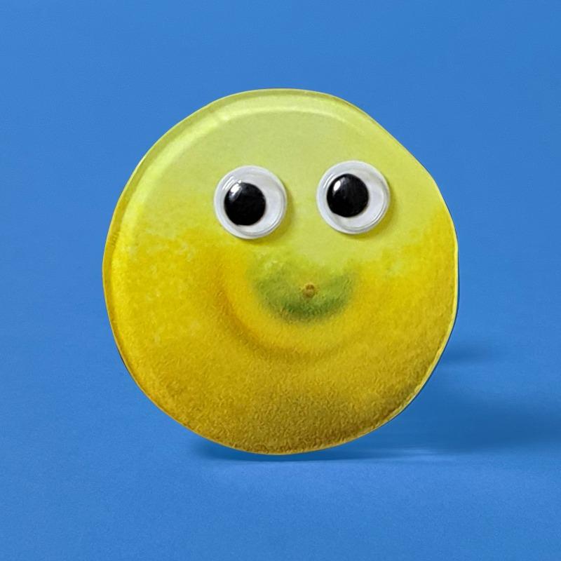 Big smile lemon