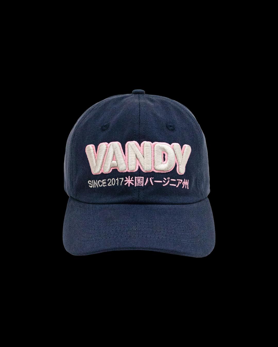 VANDY THE PINK BASIC LOGO BALL CAP