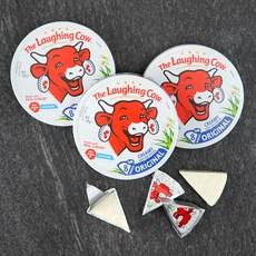 더래핑카우 오리지널 플레인 8개입