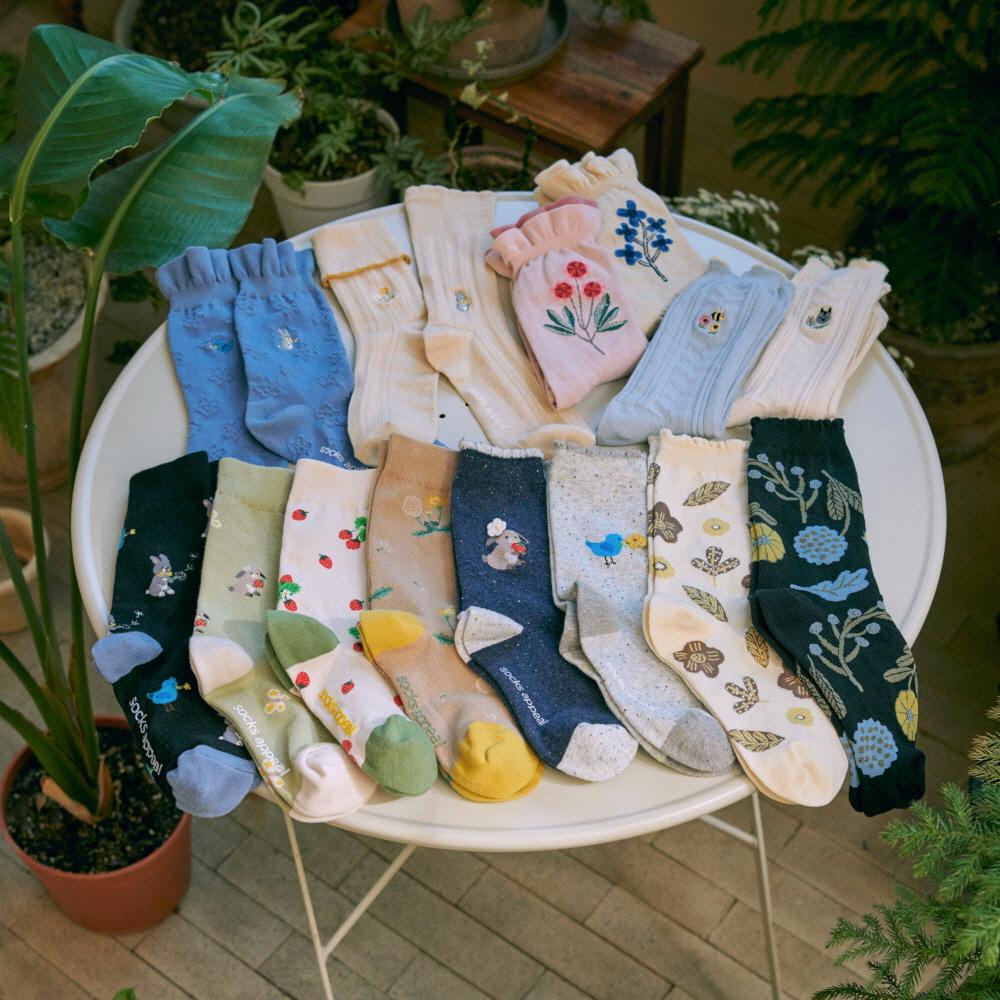 petit spring 2pack SET