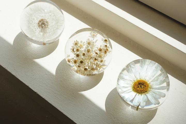 생화 플라워 문진 7cm 3종 (민들레/데이지/마거리트)