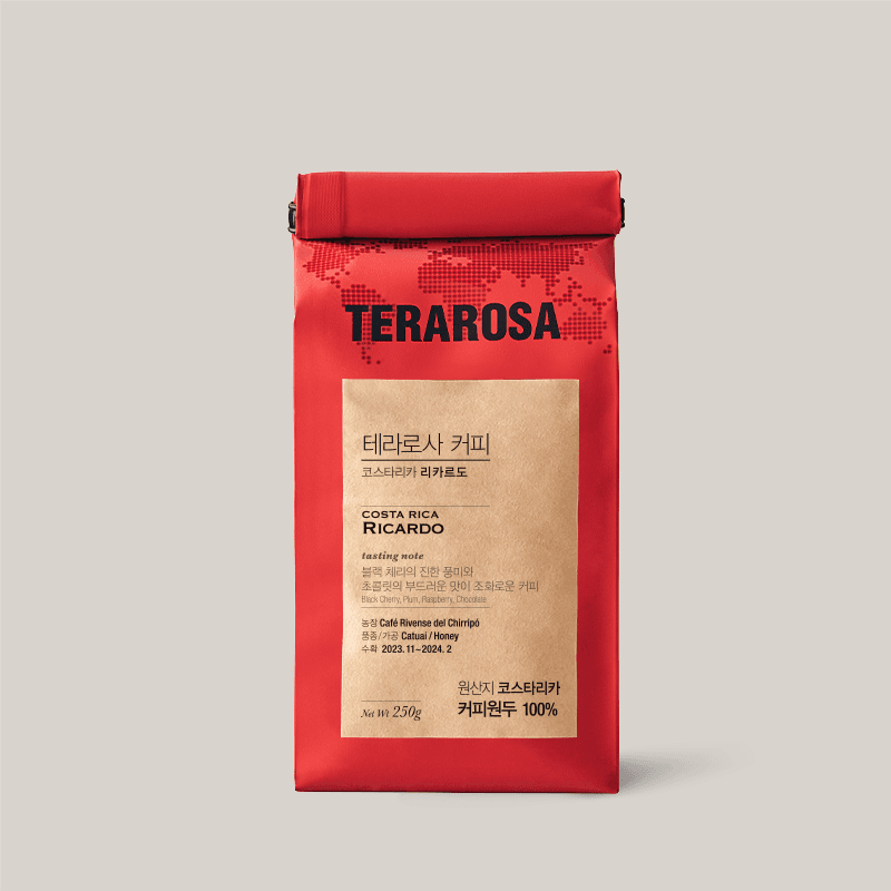 코스타리카 리카르도