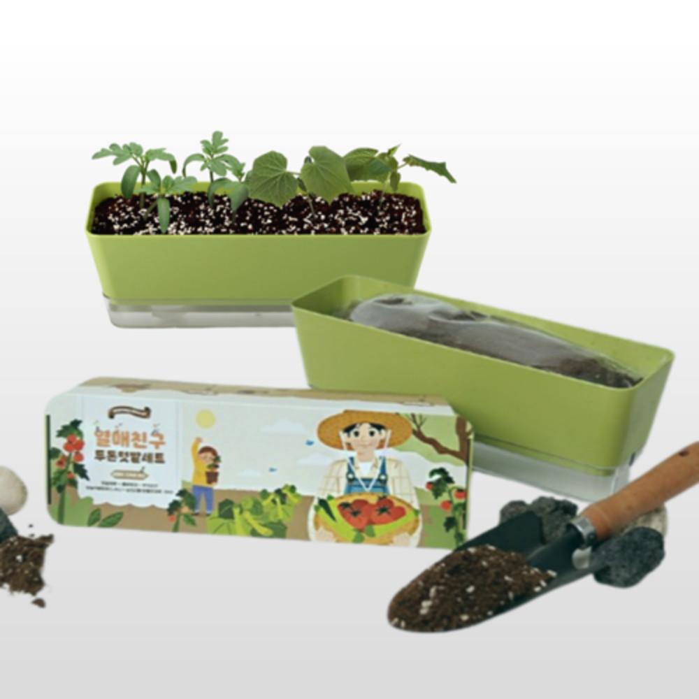 베란다 미니 오이 방울토마토 씨앗 키우기 키트