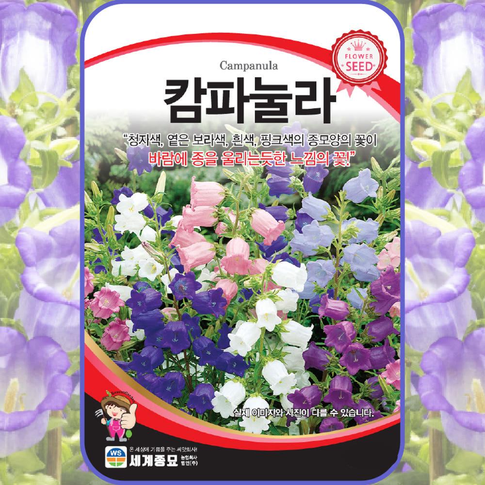 캄파눌라 씨앗 혼합 꽃씨 꽃씨몰 종자 봄 여름 파종 꽃 작물 식물 bell flower