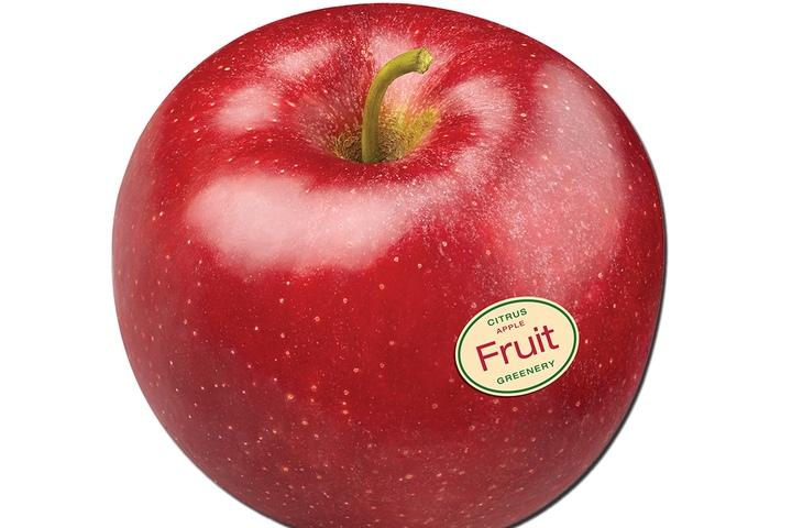 초극세사 마우스패드 RED APPLE