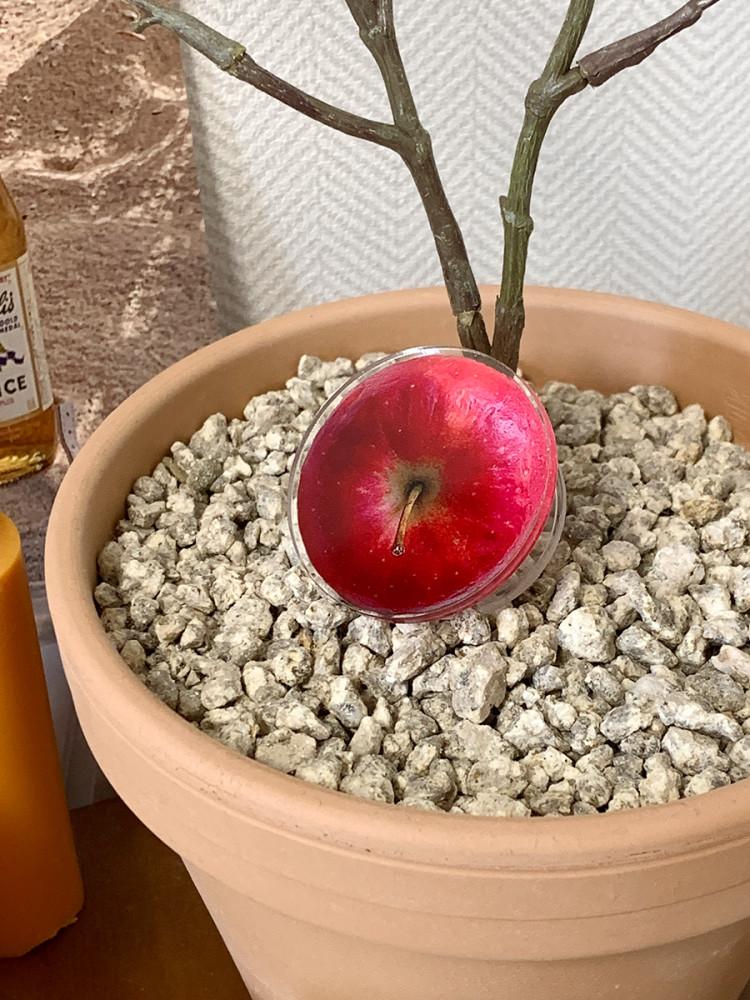 사그락⎟사과 스마트톡