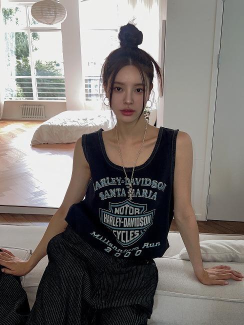 할리 피그다잉 오버 나시