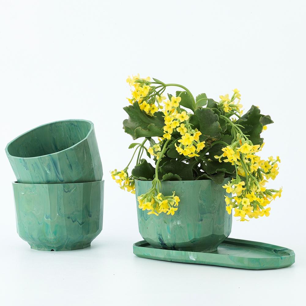 Palette Olive - 팔레트 화분 & 트레이 세트 (올리브 컬러)