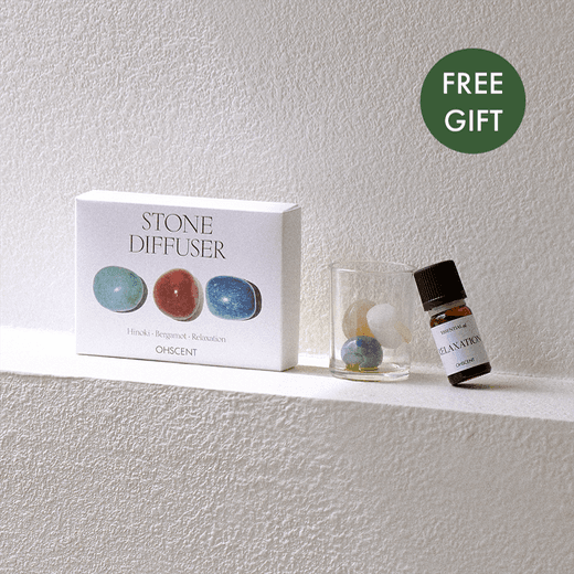 오센트 스톤 디퓨저